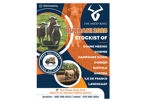 The Sheep King Qurbani 2026 flyer